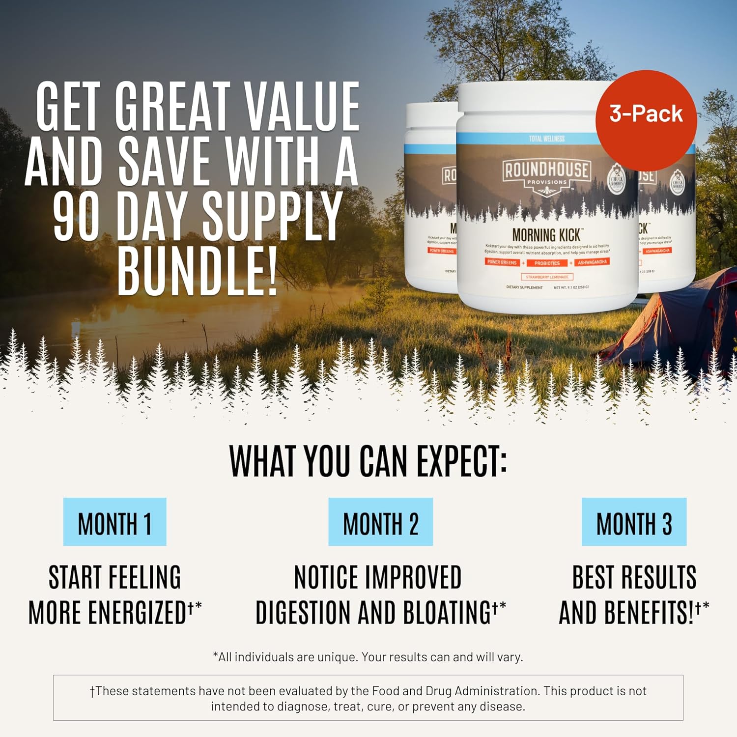 Roundhouse Provisions Morning Kick Strawberry Lemonade 30 Serving 9.1 oz (Pack of 3)